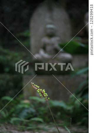 神社參拜道上的石佛與麝香百合 128299418