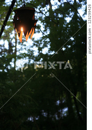 Lantern in the forest Lantern in the forest 128299426