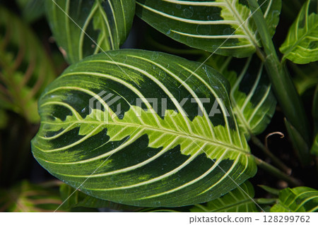 Yuri no Sato Park 128299762