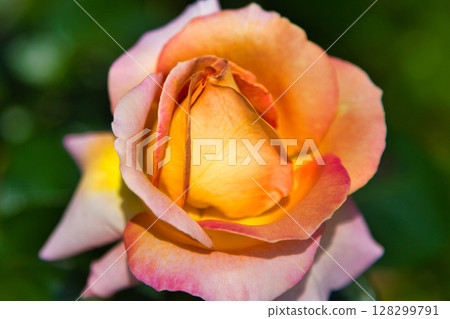 Yuri no Sato Park Yuri no Sato Park 128299791