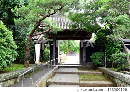 橫濱市神奈川區武顯寺正殿門與新綠 128300196