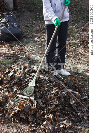 Person raking fallen leaves into a pile for autumn cleanup. 128301503