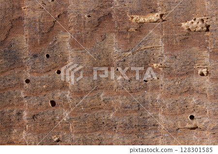 Close-up of textured wood surface with grain and holes. Close-up of textured wood surface with grain and holes. 128301585