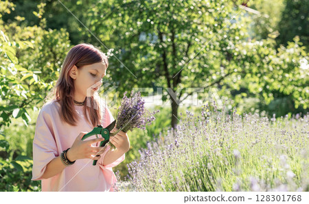 Girl harvesting lavender in a blooming field on a sunny day 128301768