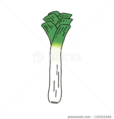leek leek 128301840