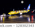 天馬航空 B737-800 皮卡丘夜間停車 128302343