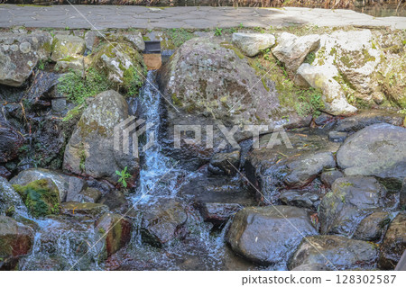 March 26 2025 Water Flowing Over Rocks in a Peaceful Forest Stream Setting, Japan 128302587