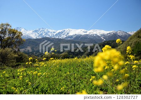 從野平村眺望北阿爾卑斯山[長野縣白馬村] 128302727