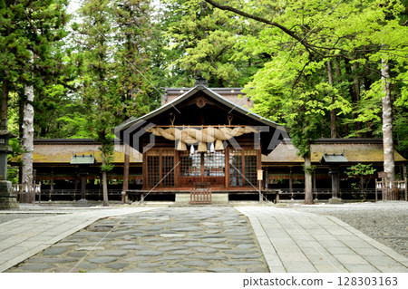 Suwa Taisha Spring Shrine [Shimosuwa-machi, Suwa-gun, Nagano Prefecture] 128303163