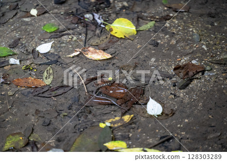 Glass hive Glass hive 128303289