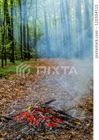 Campfire glowing amidst a serene forest trail surrounded by tall trees and gentle mist in the early morning light Campfire glowing amidst a serene forest trail surrounded by tall trees and gentle mist in the early morning light 128304515