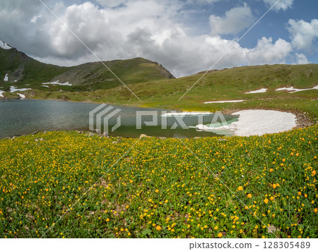 A clearing with buttercups by a glacial lake 128305489