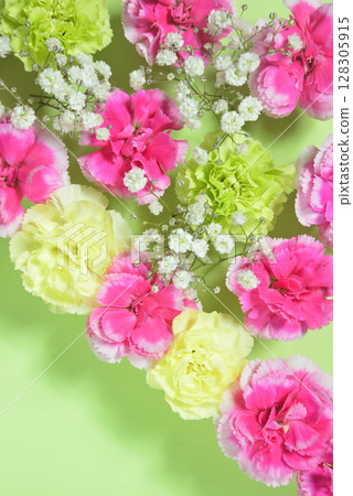 Carnation  Carnation  128305915