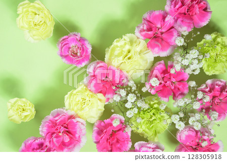 Carnation  128305918