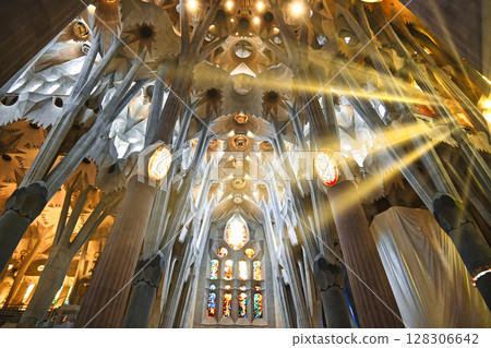 The gorgeous interior of Barcelona's Sagrada Familia The gorgeous interior of Barcelona's Sagrada Familia 128306642