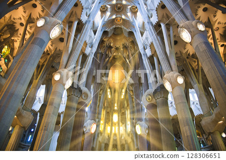 巴塞隆納聖家堂華麗的內飾 128306651