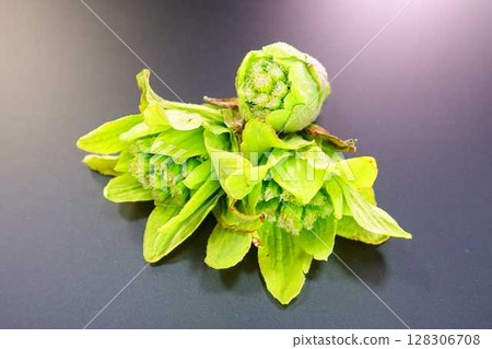 Fukinotou Fukinotou 128306708