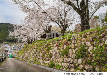 View of Tennozan Park in Kawane-cho, Shimada City (Shizuoka Prefecture) View of Tennozan Park in Kawane-cho, Shimada City (Shizuoka Prefecture) 128306883