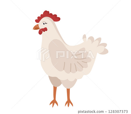 Cute chicken with a beak and a red tuft in cartoon style. Vector character of a bird from a farm isolated on a white background. Cute chicken with a beak and a red tuft in cartoon style. Vector character of a bird from a farm isolated on a white background. 128307373