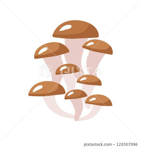 Autumn oyster mushroom. Vector illustration isolated. For the design, decoration or printing of postcards Autumn oyster mushroom. Vector illustration isolated. For the design, decoration or printing of postcards 128307896