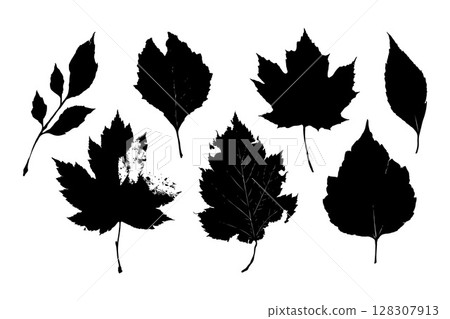 Collection of black leaf silhouettes from different tree species, realistic graphic style, isolated on white background, concept of nature diversity 128307913
