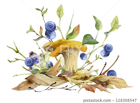 Golden chanterelle girolle mushroom, blueberry berries on top of fallen autumn leaves pile with twigs, branches. Fungi nature illustration hand drawn in watercolor. Forest floor habitat ecosystem. 128308547