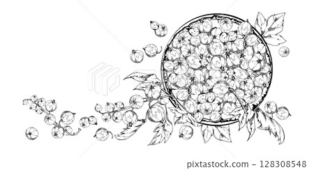 Currant gooseberry clusters leaves on ceramic dish, hand drawn in vector ink, ripe picked garden berry harvest, casseille jostaberry. Isolated illustration. Cookbook art, food packaging, fresh product 128308548