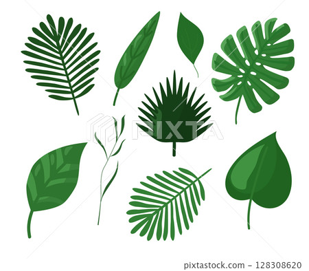Tropical leaves. Botanical vector. In the style of hand drawing. 128308620