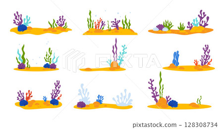 Underwater sea plants. Tropical flora, seaweed, shells and Coral on sandy seabed collection. Isolated undersea landscapes on white background. Vector illustration 128308734