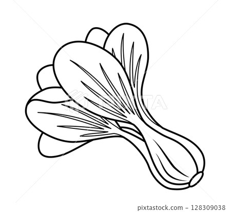 白菜圖示 128309038