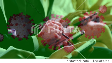 Using smartphones, hands highlighting pandemic communication with virus graphics overlay Using smartphones, hands highlighting pandemic communication with virus graphics overlay 128309043