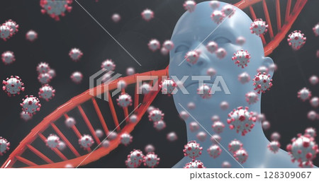 Image of DNA strand spinning with Covid 19 cells, human model on dark background Image of DNA strand spinning with Covid 19 cells, human model on dark background 128309067