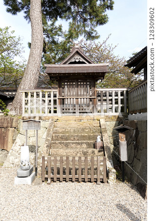 Kotohira Shrine Kotohira Shrine in front of the Kagura Hall at Izumo Taisha Shrine 128309602