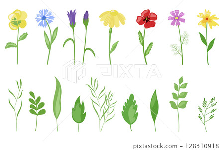 Flowers of the field, a beautiful collection of plants and leaves. Vector. In the style of hand drawing. Flowers of the field, a beautiful collection of plants and leaves. Vector. In the style of hand drawing. 128310918