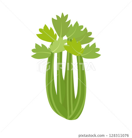 Celery stalk. Healthy food. Vector. In the style of hand drawing. 128311076