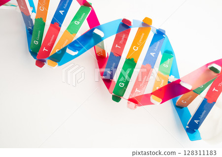 DNA or Deoxyribonucleic acid is a double helix chains structure formed by base pairs attached to a sugar phosphate backbone. 128311183