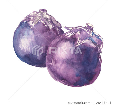 Watercolor illustration of Kamo eggplant Watercolor illustration of Kamo eggplant 128311421