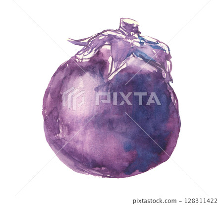 Watercolor illustration of Kamo eggplant Watercolor illustration of Kamo eggplant 128311422