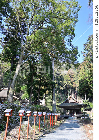滋賀郡日吉大社－全國約 3,800 座日吉、日枝、山王神社的總社 128312556