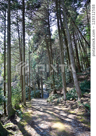 滋賀郡日吉大社-全國約 3,800 座日吉、日枝、山王神社的總社 滋賀郡日吉大社-全國約 3,800 座日吉、日枝、山王神社的總社 128312588