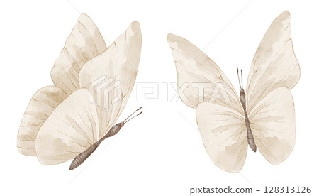 Watercolor illustration of Butterflies with delicate wings and soft details. Drawing of delicate Insects for wedding invitations or Baby party greeting cards. Art in soft pastel beige colors. Watercolor illustration of Butterflies with delicate wings and soft details. Drawing of delicate Insects for wedding invitations or Baby party greeting cards. Art in soft pastel beige colors. 128313126