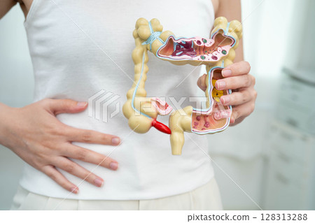 Intestine, Asian woman holding human anatomy model. 128313288