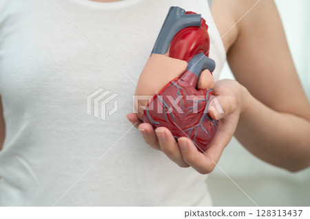 Cardiovascular disease CVD, Asian woman with heart human anatomy model. 128313437