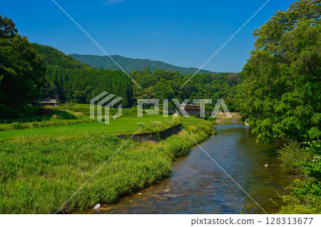 Summer rural landscape and train 128313677