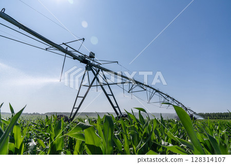 Agricultural pivot irrigation system on a corn field Agricultural pivot irrigation system on a corn field 128314107