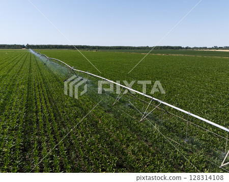 Aerial view of agricultural watering pivot irrigation system on a corn field Aerial view of agricultural watering pivot irrigation system on a corn field 128314108