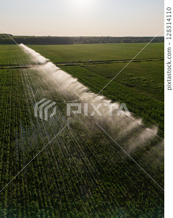 Aerial view of agricultural watering pivot irrigation system on a corn field at sunset Aerial view of agricultural watering pivot irrigation system on a corn field at sunset 128314110