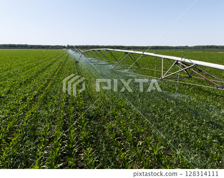 Aerial view of agricultural watering pivot irrigation system on a corn field Aerial view of agricultural watering pivot irrigation system on a corn field 128314111
