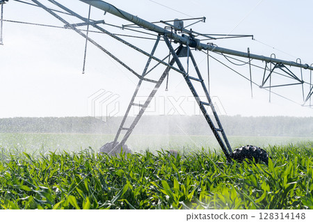 Agricultural pivot irrigation system on a corn field Agricultural pivot irrigation system on a corn field 128314148