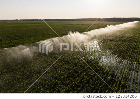 Aerial view of agricultural watering pivot irrigation system on a corn field at sunset Aerial view of agricultural watering pivot irrigation system on a corn field at sunset 128314200